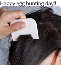 Happy Egg Hunting Day