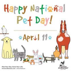 Happy National Pet Day - April 11