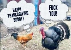 Happy Thanksgiving Turkey meme