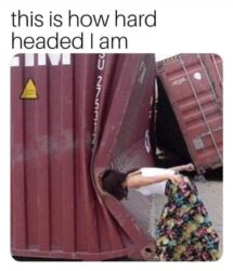 Hard Headed