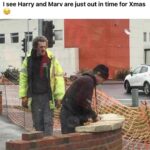 Harry and Marv are ready for Christmas
