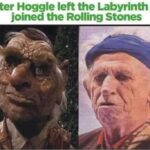 Hoggle left the Labyrinth to join The Rolling Stones