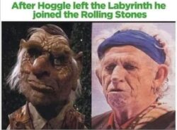 Hoggle left the Labyrinth to join The Rolling Stones