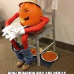 How Pumpkin Pies Are Really Made