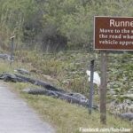 How to Get Rid of Runners