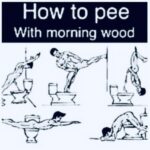 How to Pee with Morning Wood