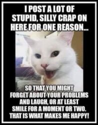 I Post A Lot Of Stupid Silly Crap