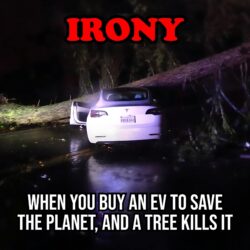 IRONY - When You Buy An EV To Save The Planet And A Tree Kills It