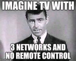 Imagine TV with 3 Networks and No Remote Control