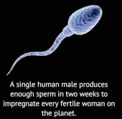 Impregnate Every Woman On The Planet