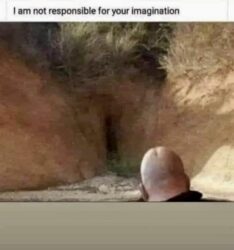 It's Not What You See