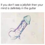 Jelly Dick meme