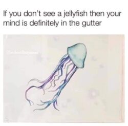 Jelly Dick meme