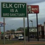 KFC Bird Sanctuary