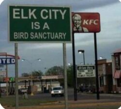 KFC Bird Sanctuary