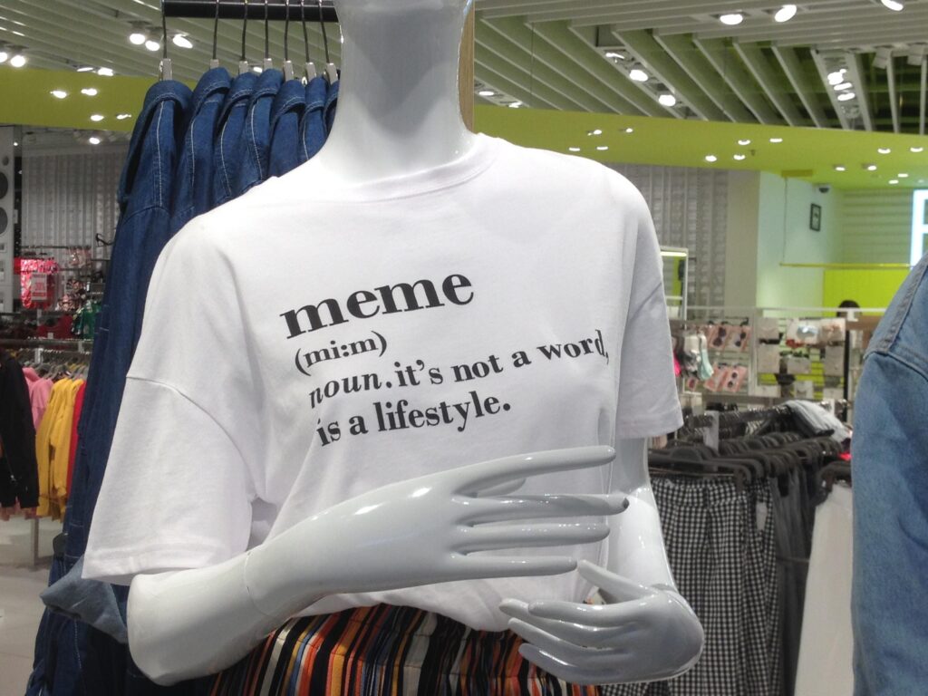 MEME definition T-shirt