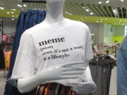 MEME definition T-shirt