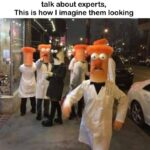 Mainstream Media Experts