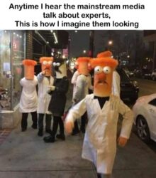 Mainstream Media Experts