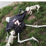 Michael Vick for Halloween