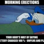 Morning Erections