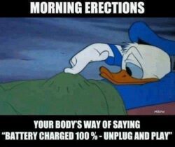 Morning Erections