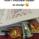 Motivation to Study