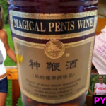 NEWSLETTER #75 Magical Penis Wine + Best bOObs shirts Model