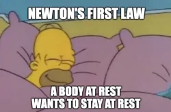 Newton's First Law - A Body At Rest Wants To Stay At Rest