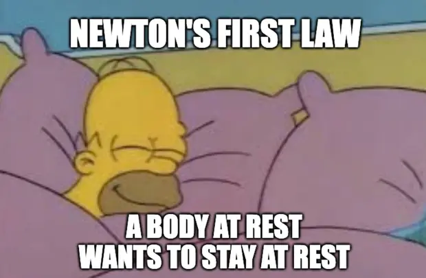 Newton's First Law - A Body At Rest Wants To Stay At Rest