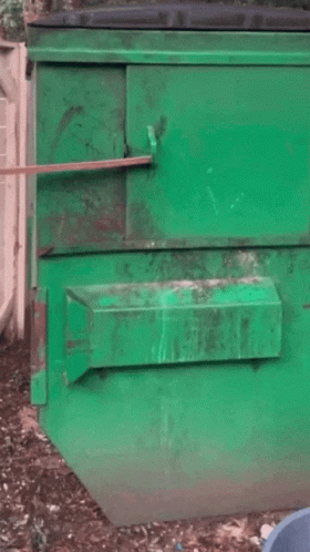 Raccoon Hangover GIF