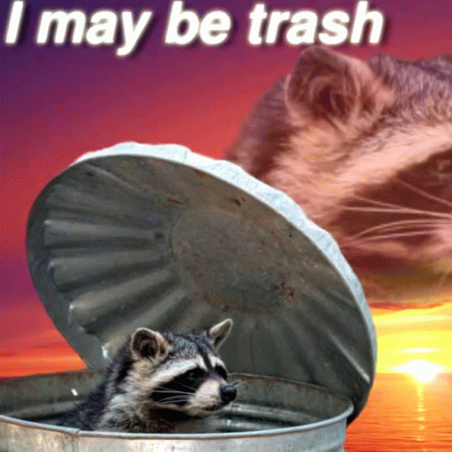Raccoon Trash Panda GIF