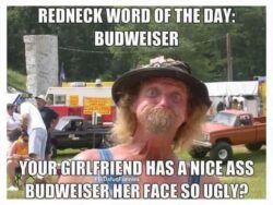 Redneck Word Of The Day - Budweiser