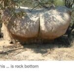 Rock Bottom meme
