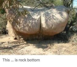 Rock Bottom meme