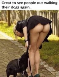 Sexy Dog Walker meme