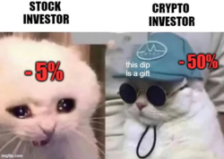 Stock Investor vs Crypto Investor