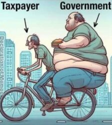 Taxpayer vs Government meme