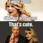 Taylor Swift vs Stevie Nicks