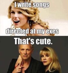 Taylor Swift vs Stevie Nicks