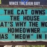 The Cat Owns The House