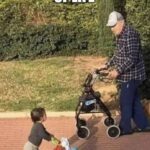 The Circle Of Life
