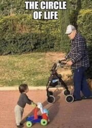 The Circle Of Life