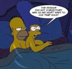 The Simpsons anal sex