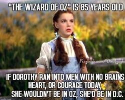 The Wizard Of Oz remake in Washington D.C.
