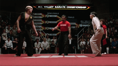 Karate Kid Tournament Daniel Larusso GIF