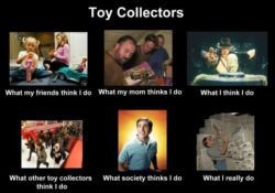 Toy Collectors – Expectations vs. Reality