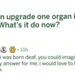 Upgrade One Organ In Your Body