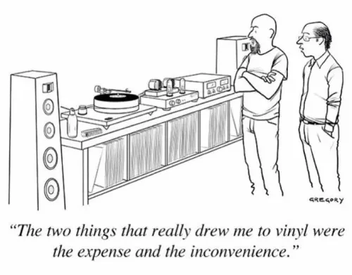 Vinyl Expense and Inconvenience