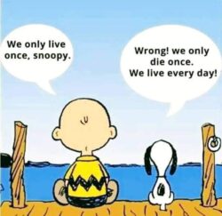 We Only Die Once - We Live Every Day